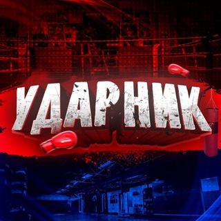 Telegram profile photo for БАЗА ММА
