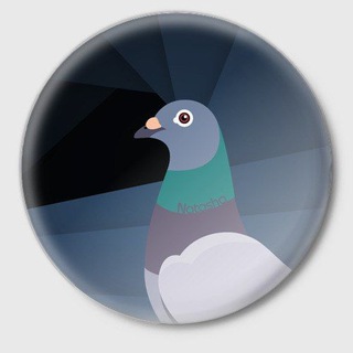 Telegram profile photo for Голубиный штаб