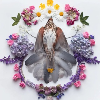 Telegram profile photo for Переходничок