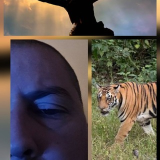 Telegram profile photo for AGENT A1