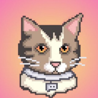 Telegram profile photo for Booba Coin | RU