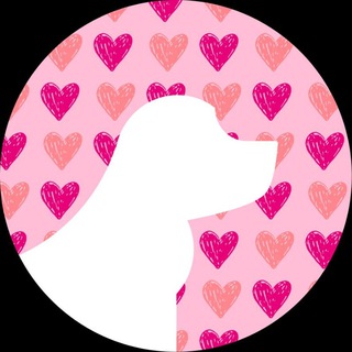 Telegram profile photo for Groom в Знаменском | Стрижка собак и кошек