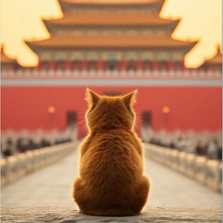 Telegram profile photo for Shanghai_ru | г. Шанхай, Китай | КНР | 沪
