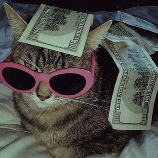Telegram profile photo for Взаимные подписки | взаимная реакция💙😻