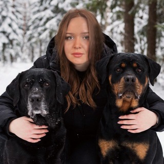 Telegram profile photo for Кинолог Анна Щенникова