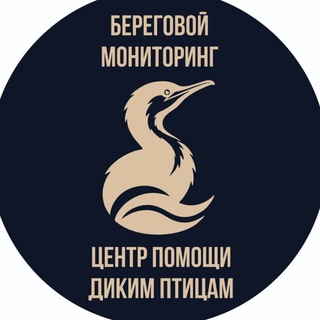 Telegram profile photo for Центр помощи диким птицам. Туапсе