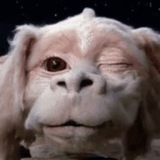 Telegram profile photo for Ad mortem sapientis anima