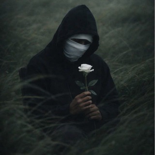 Telegram profile photo for DARK TIPS π·