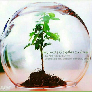 Telegram profile photo for طنین حیات انسانی