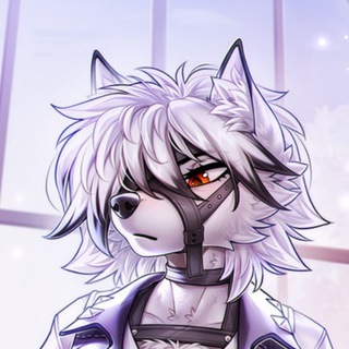 Telegram profile photo for FURTUNA621 -переходник