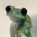 Telegram profile photo for $frigi portal