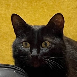 Telegram profile photo for картинки для друзей