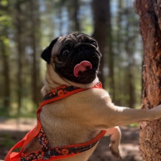 Telegram profile photo for храпушкина🦴