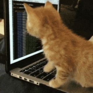 Telegram profile photo for محافظ - افزایش پنل