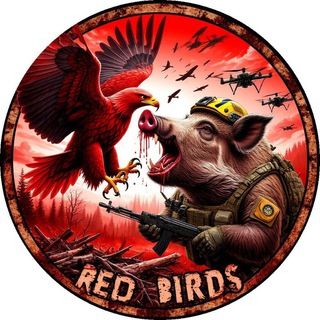 Telegram profile photo for Красные птицы 18+ ( Red Birds)