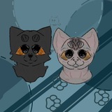 Telegram profile photo for 𝐋𝐨𝐭𝐬 𝐟𝐫𝐨𝐦 𝐒𝐭𝐞𝐬𝐡𝐀𝐦𝐲