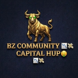 Telegram profile photo for BZ COMMUNITY ๐๐ธ CAPITAL HUP ๐ค