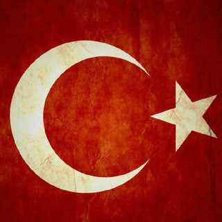 Telegram group profile photo for Chatgpt_Turkey🐝