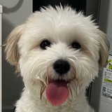 Telegram profile photo for kku의 크립토 일기장