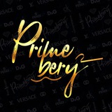 Telegram profile photo for Отзывы primebery