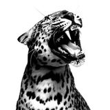 Telegram profile photo for #ππππ.π©Ά