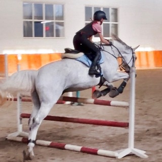 Telegram profile photo for 🐴 сенькин коноблог 🤍