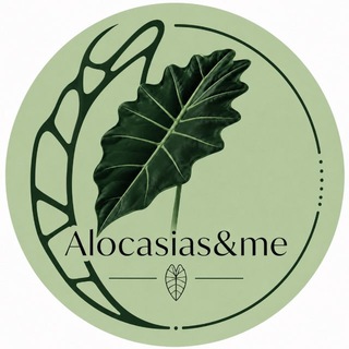 Telegram profile photo for Alocasias&me🌿