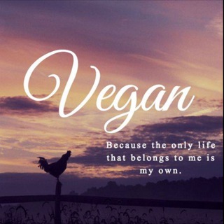 Telegram profile photo for Save animals 🐾 Go vegan 🌱