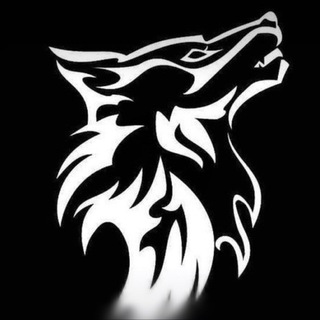 Telegram profile photo for ~Berzloy Invest~