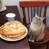 Telegram profile photo for в питере любят