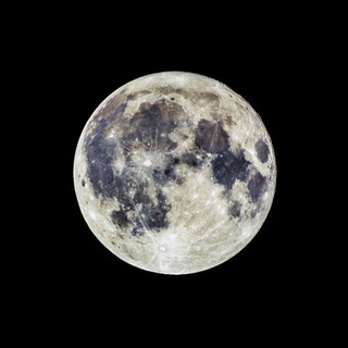 Telegram profile photo for Degen Moon Signal (the fastest the winner)