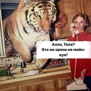 Telegram profile photo for Коты, кушать!
