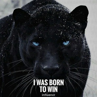 Telegram profile photo for Deep motivations an facts