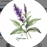 Telegram profile photo for صدقة جارية لحبيبتنا مجد💜
