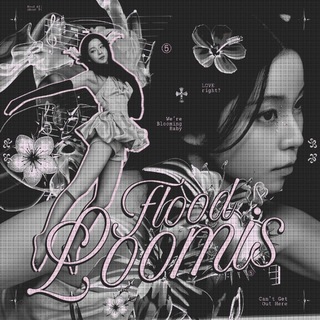 Telegram profile photo for +73 ׄ 𝐋oom𝐢s ` 𝐅𝐥𝐝 ﹙🎼 ﹚