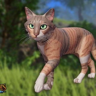 Telegram profile photo for Warrior Cats: Lake Territory WC:LT