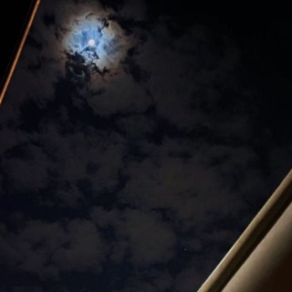 Telegram profile photo for حسَنة