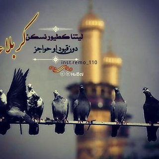 Telegram profile photo for تحف العقول عن آل الرسول 📚