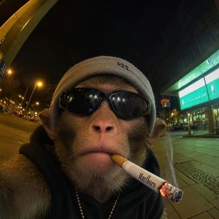 Telegram profile photo for 掸邦交流群