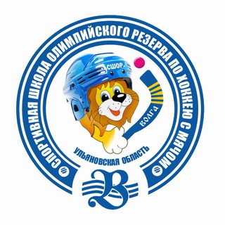 Telegram profile photo for 🦁«СШОР по хоккею с мячом» г. Ульяновск