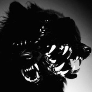 Telegram profile photo for Хил