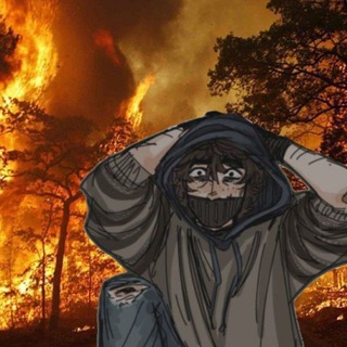 Telegram profile photo for кикожир