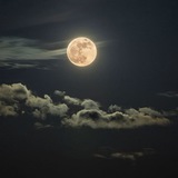 Telegram profile photo for " میهمان خانهِ ماه.