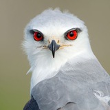 Telegram profile photo for مدرسه زیست شناسی