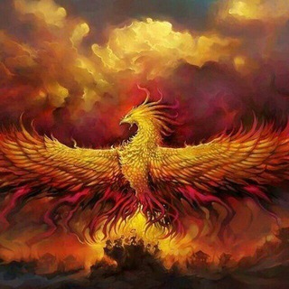 Telegram profile photo for phoenix