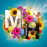 Telegram profile photo for Мучкапские новости