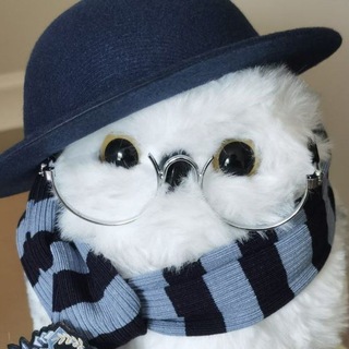Telegram profile photo for Совиное гнездо🪺🦉