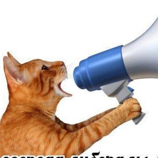 Telegram profile photo for обрубки і пеньочки