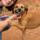 Telegram profile photo for roubado dessa Tate ai