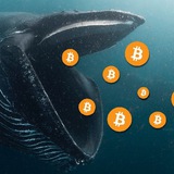 Telegram profile photo for KB SHORT VIP
